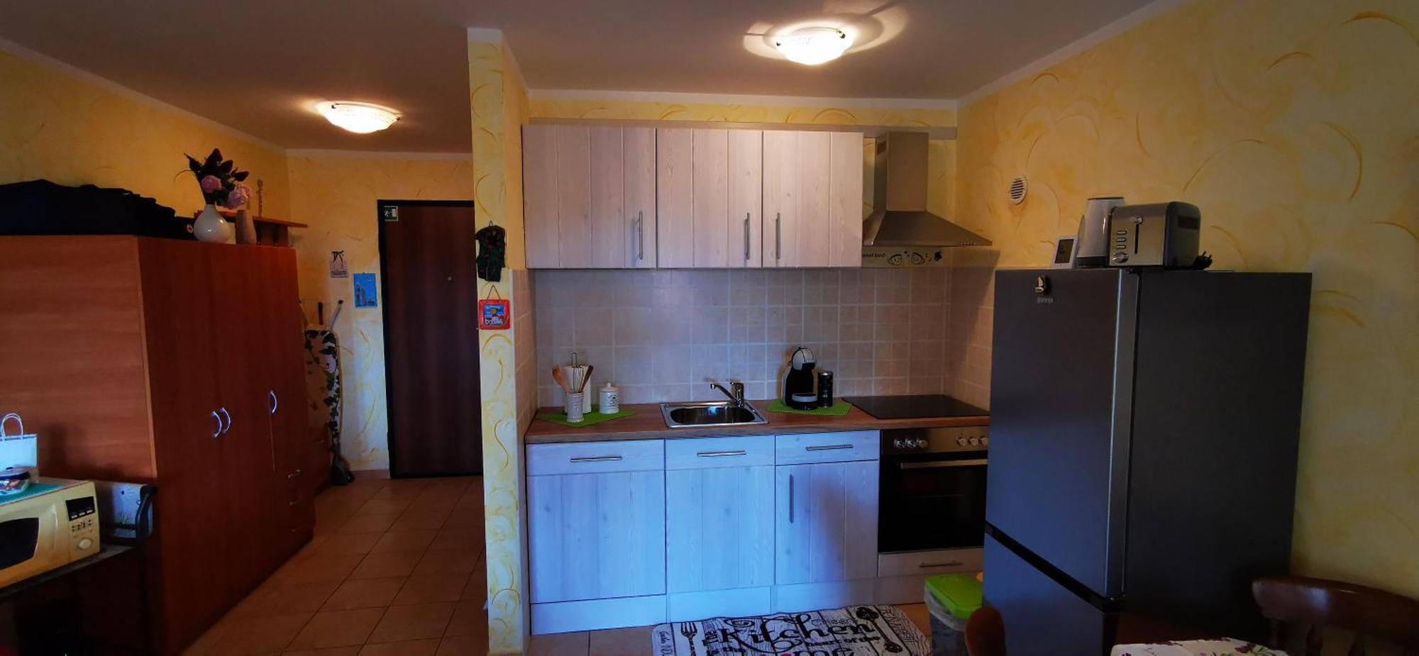 Studio Apartment Lela Ližnjan Buitenkant foto